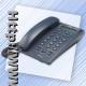 Internet telephones