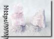 caustic calcined magnesite
