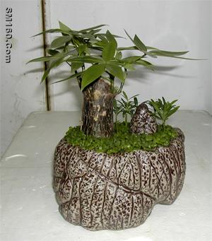 CERAMIC FLOWER POT NO.192