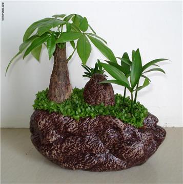 CERAMIC FLOWER POT 190