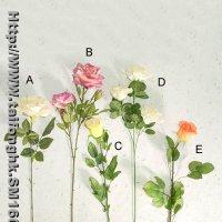 Rose Stem