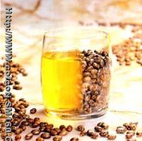 Castor seeds; Castor Oil No.1