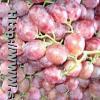 Red Globe Grapes