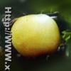 Golden Pear
