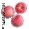 Fuji Apple