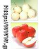 Apple & Pear