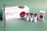 Recombinant Human Growth Hormone