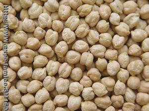 Chickpea