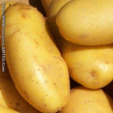 Fresh Potatoes