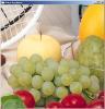 Springs Fruits