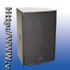 professional speaker system