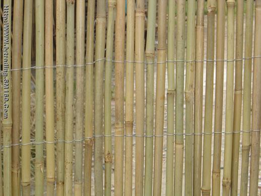tonkin bamboo,bamboo cane,flower stick,bamboo fence,willow fence