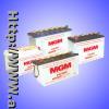 Automobile Battery