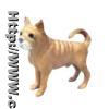 Dog Made with Goat Fur