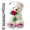 Plush Bear