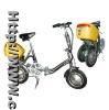 Electric Bicycle