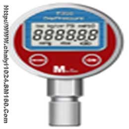 Digital Pressure Gauge, PTS-300