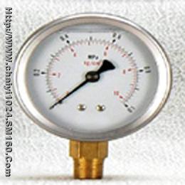 Liquid Filled Gauge 04h120