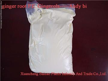ginger root P.E. Gingerols