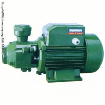 ac motor and pump