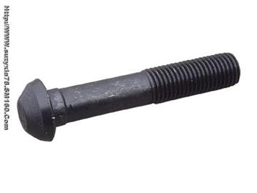Railway bolt