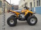 All Terrain Vehicle (90cc, 110cc, 125cc, 150cc, 250cc)