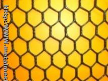 Chicken wire