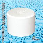 UPVC End Cap