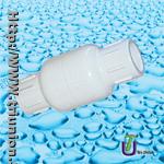 PVC Spring Check Valve
