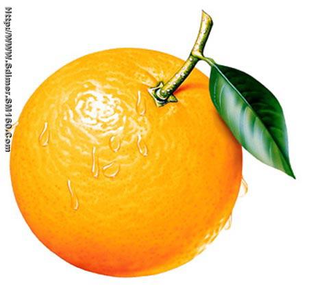 Canned Fruit