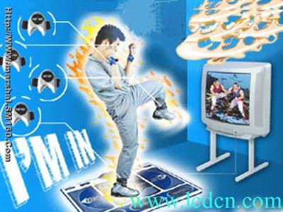 Martial Art Game Mat GM800A