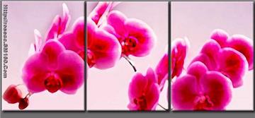 sell cheap oil paintings from shenzhen