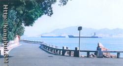 tour in shen zhen one day