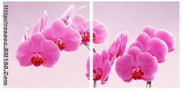 wholesales cheap oil paintings from china