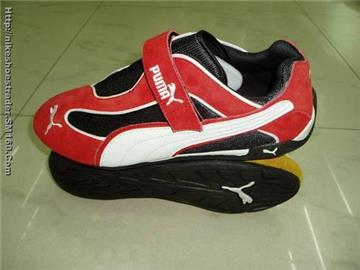 puma