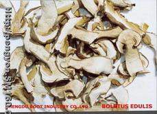 boletus edulis