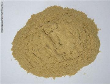  Pea  Protein Powder 