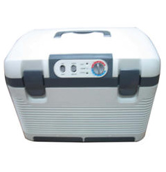 Mini refrigerator
