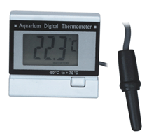 Digital Mini Thermometer