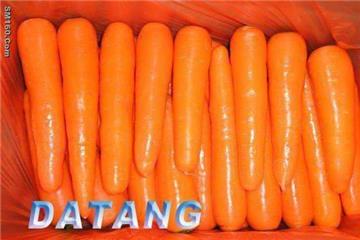 fresh carrot