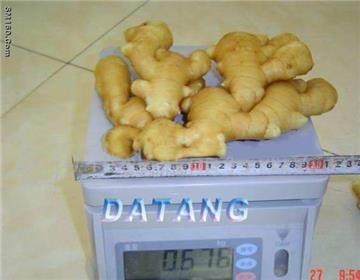 fresh ginger
