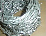 barbed wire 
