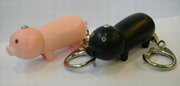 Mini Pig