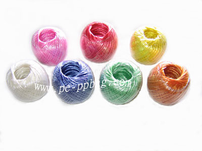 PP string