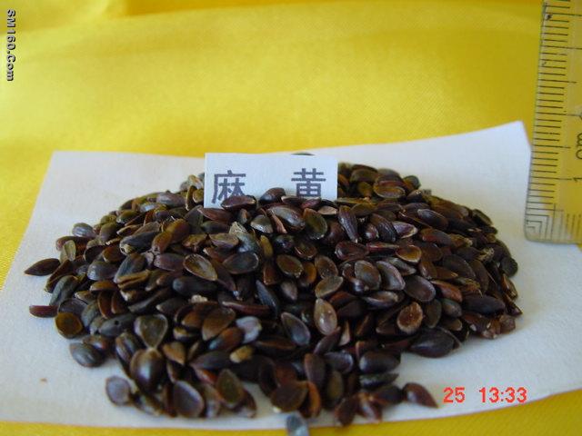 Chinese herbal medicine seeds 