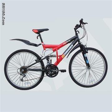 Mountain bike