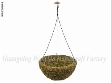 hanging moss baskets