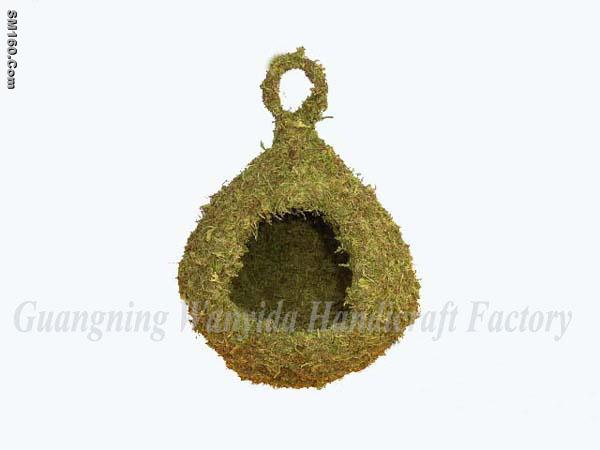 bird moss nests