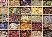 Herbs 