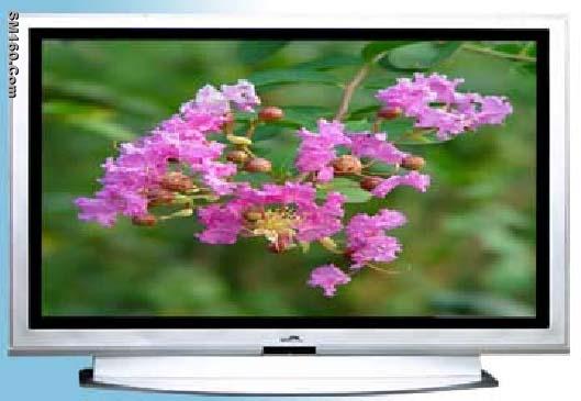 Plasma TV